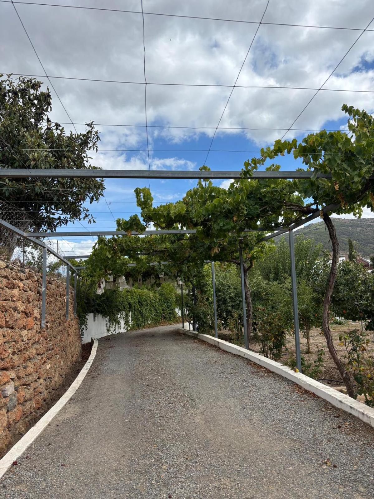 El Domingo En El Valle Fondón Eksteriør billede